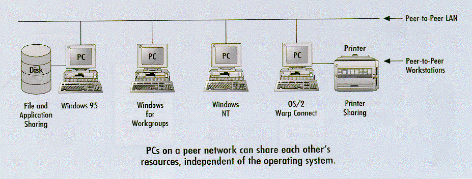 Figure 1. Peer-to-Peer LAN