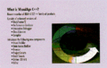 Thumbnail for version as of 05:14, 20 October 2017