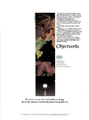 Thumbnail for version as of 19:37, 29 July 2016