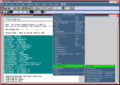 Thumbnail for version as of 11:41, 25 April 2015